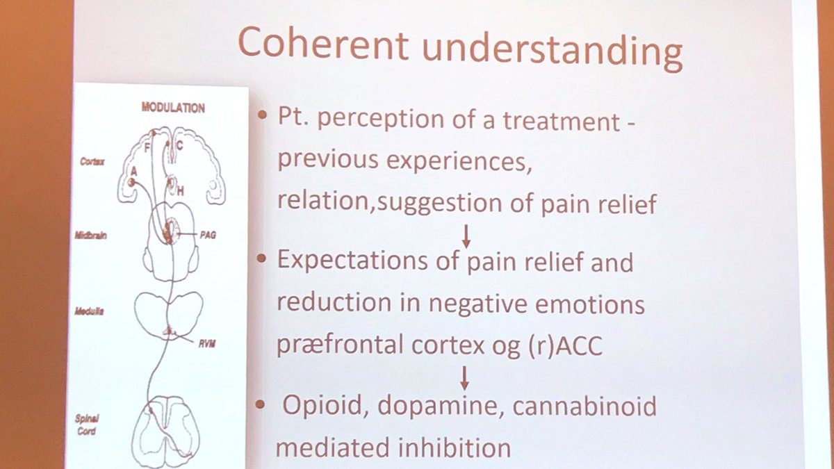 PasRoselien's tweet photo. Placebo and nocebo effects in children and adolescents! Thank you Professor L. Vase Toft for this nice lecture! #ISPP2019 #pain #paininchildren #pediatricpain #Congress #placebo #nocebo https://t.co/DE45Dsenb8