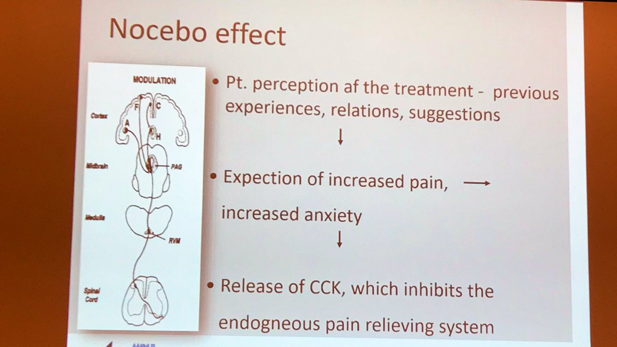 PasRoselien's tweet photo. Placebo and nocebo effects in children and adolescents! Thank you Professor L. Vase Toft for this nice lecture! #ISPP2019 #pain #paininchildren #pediatricpain #Congress #placebo #nocebo https://t.co/DE45Dsenb8