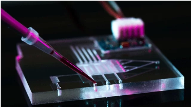 Elvesys's tweet photo. Find out more about Elvesys history and the Microfluidic Valley ! https://t.co/xjdpidKxZQ
#microfluidicvalley #microfluidics #H2020 #innovation https://t.co/WozqSFWMJP