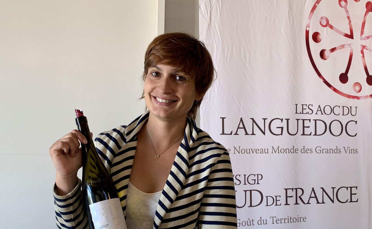 Vins du Languedoc tweet media