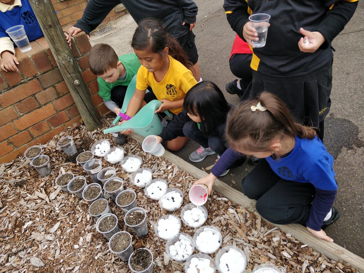 We're giving our seeds the water they need! #gardening #science
