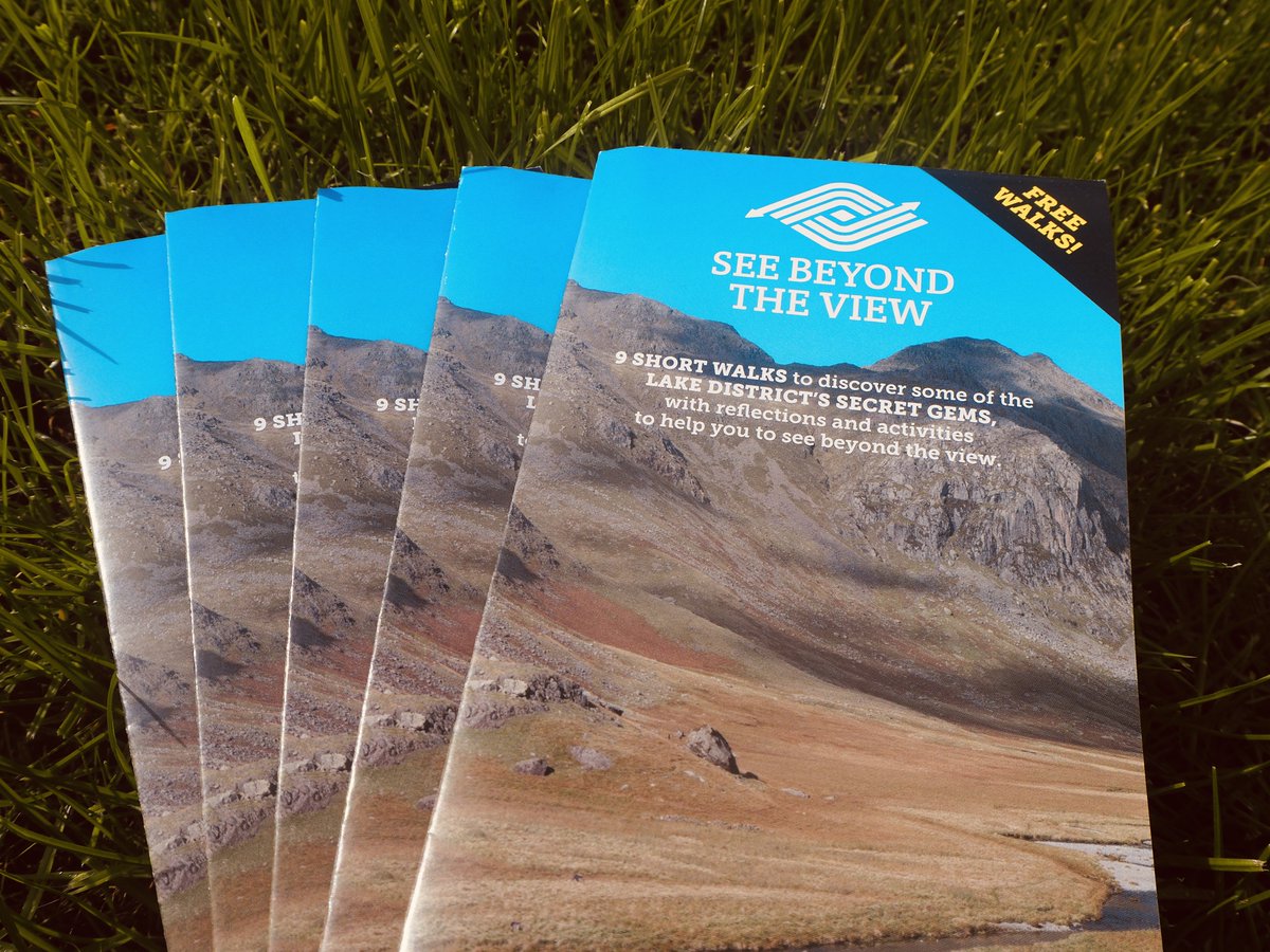 See Beyond the View tweet media