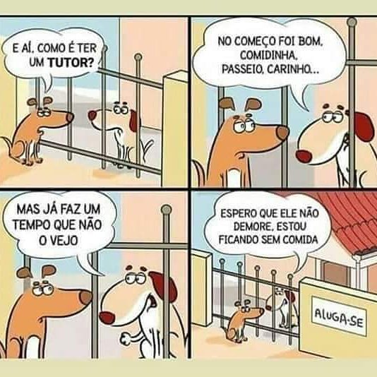 PatudosSos's tweet photo. #adote #adotaretudodebom #viralata #repost #adoteumamigo #instadog #FutsalSCP #FutsalBenfica https://t.co/L4GpeGVBHA