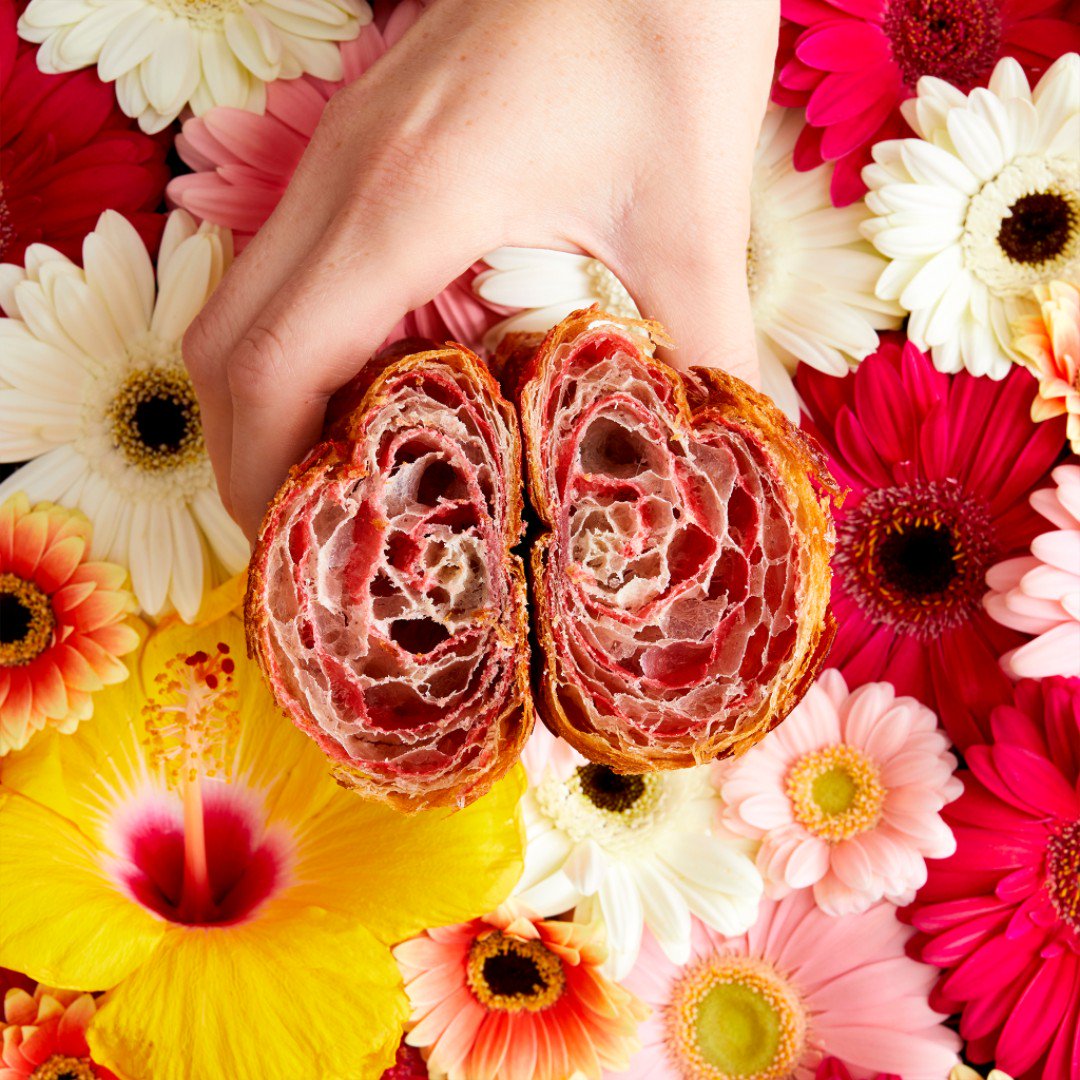 Can you feel the Flower Power?
🌺🌸🌷Coming Soon🌷🌸🌺 #PlantLove #LPQ