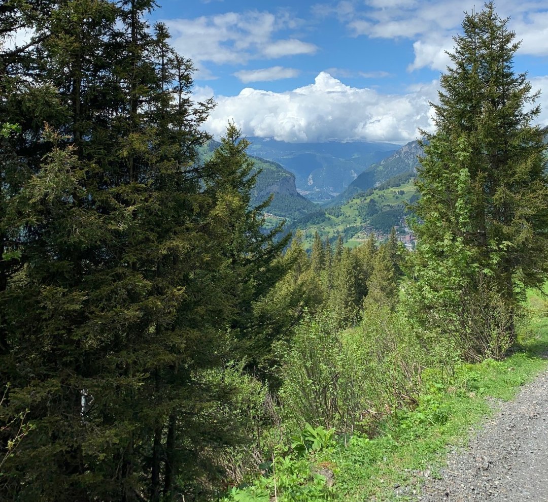 Many hiking trails are already open. Come and discover the beautiful nature of the Wengen region.
•
•
Follow us for regular information about the classic 4-star hotel Silberhorn and the Wengen Classic Hotels. @hotelsilberhornwengen