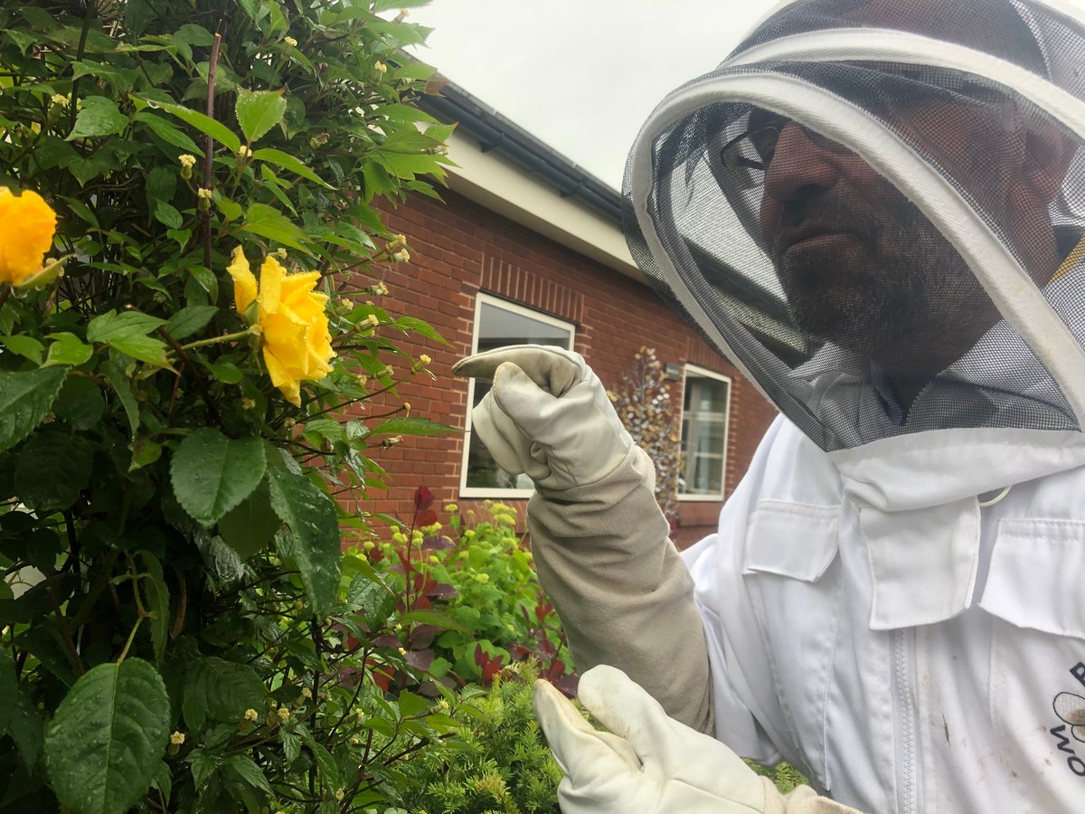 LOROSHospice's tweet photo. It’s #festivaloflearning2019 - a nationwide initiative to celebrate the power of learning. We're celebrating the many skills of our colleagues. Not just professional skills but fun ones too! Here’s Martin- training manager and beekeeping expert. Tweet us yours! #LovetoLearn https://t.co/TWA3WODmwU