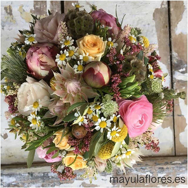 mayulaflores's tweet photo. Miriam 💐👰🏻
.
.
.
.
.#mayulaflores #mayula #bridalbouquets #ramodenovia #weddingbouquet #bridebouquet #campito https://t.co/6ZYDtr6qye https://t.co/gKeT0INKCU