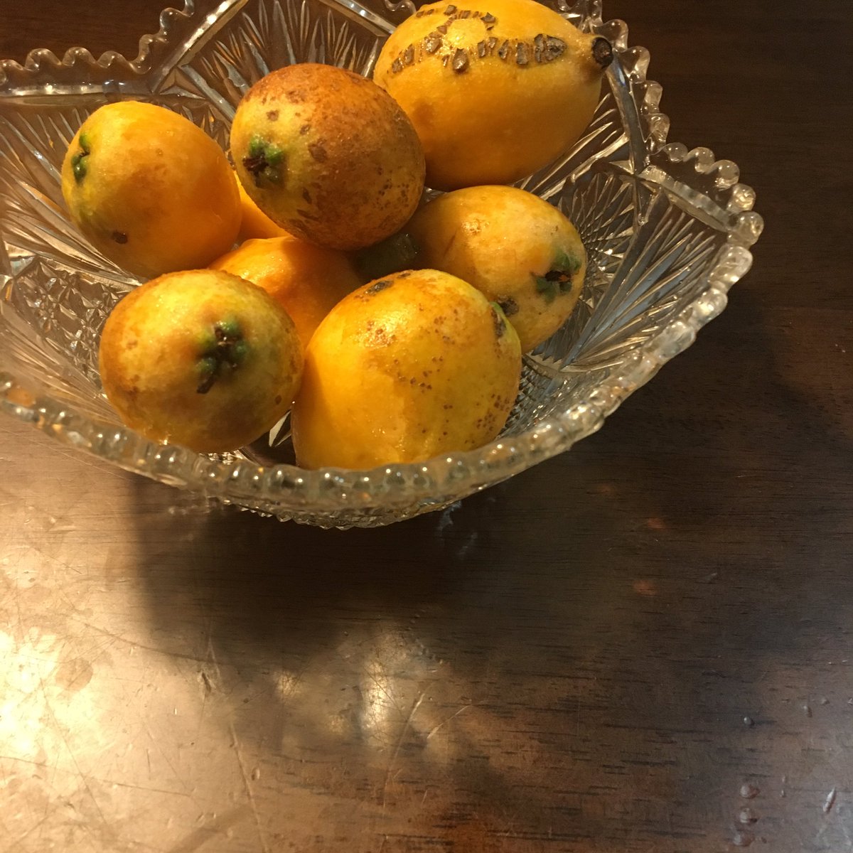 M_1128_K's tweet photo. 金曜日、有給で、吉祥寺の最終回に滑り込めた「誰がために憲法はある」と、おばあちゃんの家で元気に育ったびわです。憲法のこと、政治のこと、ぜんぶ自分の生活と地続きだって忘れたくない。 https://t.co/DEeZ3uWJMa