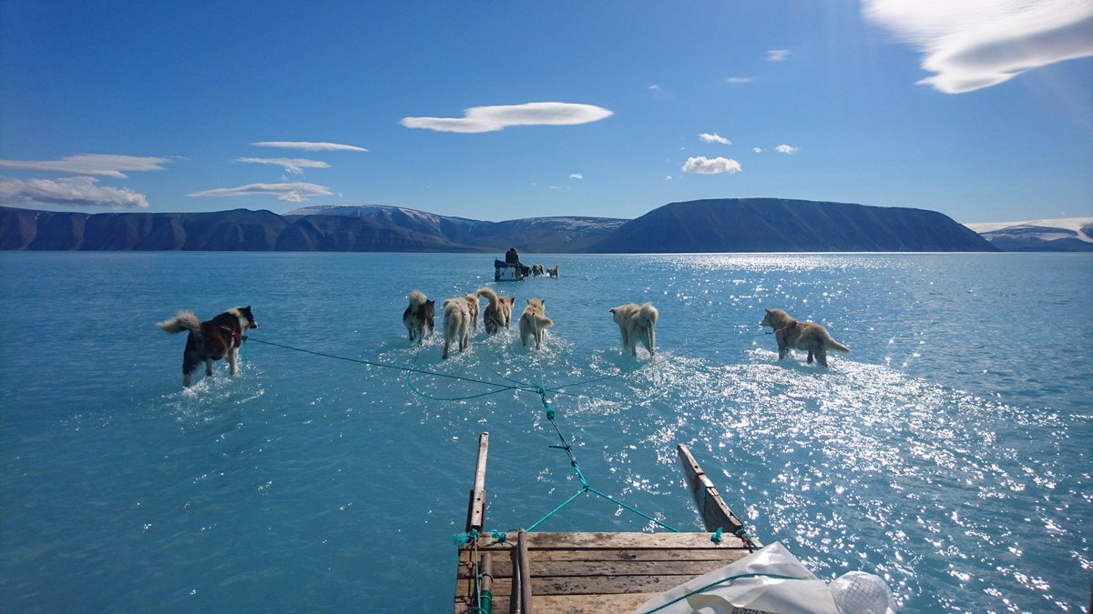 https://twitter.com/dmidk/status/1140569847954399232 hounds on melting ice sheet on water walking like jesus in the ocean