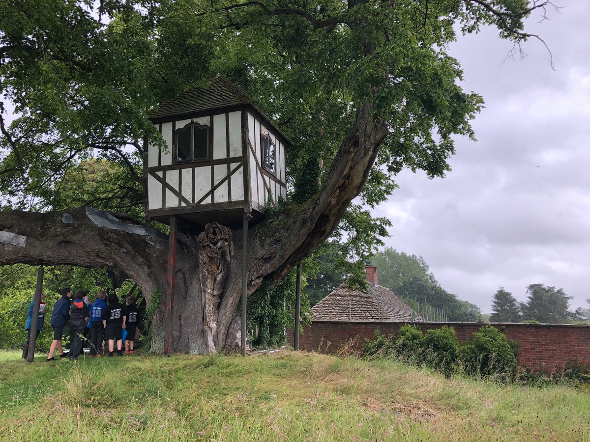 The oldest #treehouse in the #World. It is absolutely magical.
<a href="/PitchfordEstate/">Pitchford Estate</a> #Learning #HistoricHouses