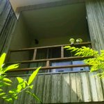 ツイートに含まれる画像