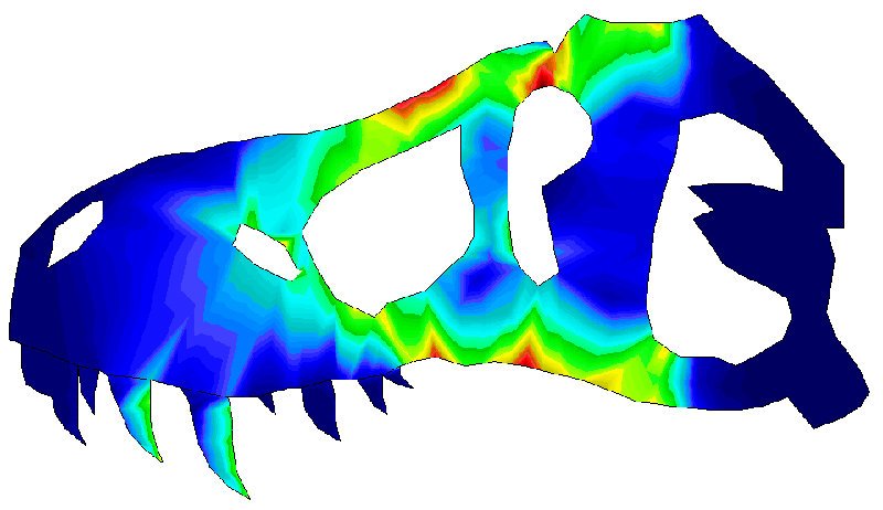 BirkbeckScience's tweet photo. Don’t forget: June 24 sees the start of 2019 #BBKScienceWeek + 2019 #RosalindFranklin lecture – Engineering #Dinosaurs – book your free place now! https://t.co/ctnQbtx3hU https://t.co/Q0nKMHlOUG