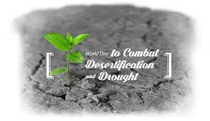 ElikhamSystems's tweet photo. Elikham Systems treats waste water and recycles it back to the environment for secondary use such as irrigating lawns and flashing toilets.
#WDCD2019Ke #WDCD2019 #MondayMotivation  #JSWR #UstawiKenyaUk https://t.co/SvmsgMAU2M