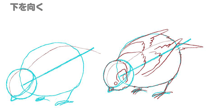 いちあっぷ By Mugenup クリエイティブ制作会社 タマゴ型のアタリから描く かわいいスズメの描き方 特徴を押さえて描こう 鳥の描き方講座 スズメ編 いちあっぷ T Co Wodswlqrjq 絵が上手くなる記事はコレ