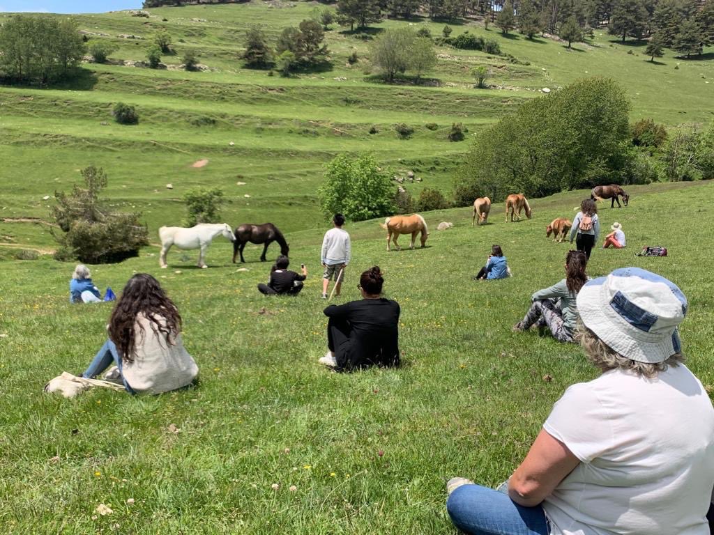 fundaciomiranda's tweet image. #undiaentrecavallslliures #undiaentrecaballoslibres en el #Pladelorri sede de verano de la #fundaciomiranda plenitud entre #caballoslibres en un espacio protegido de interés natural único, a dos horas de Barcelona #cavallspersonesnatura #cavallsboscosisalut #freehorses