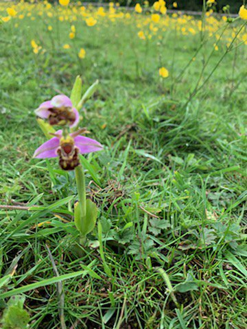 Toni Blythe tweet media