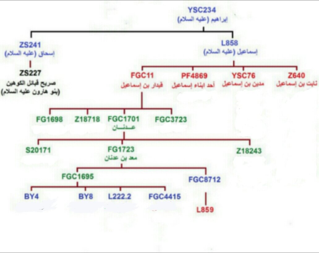 الأمير الشريف tweet media