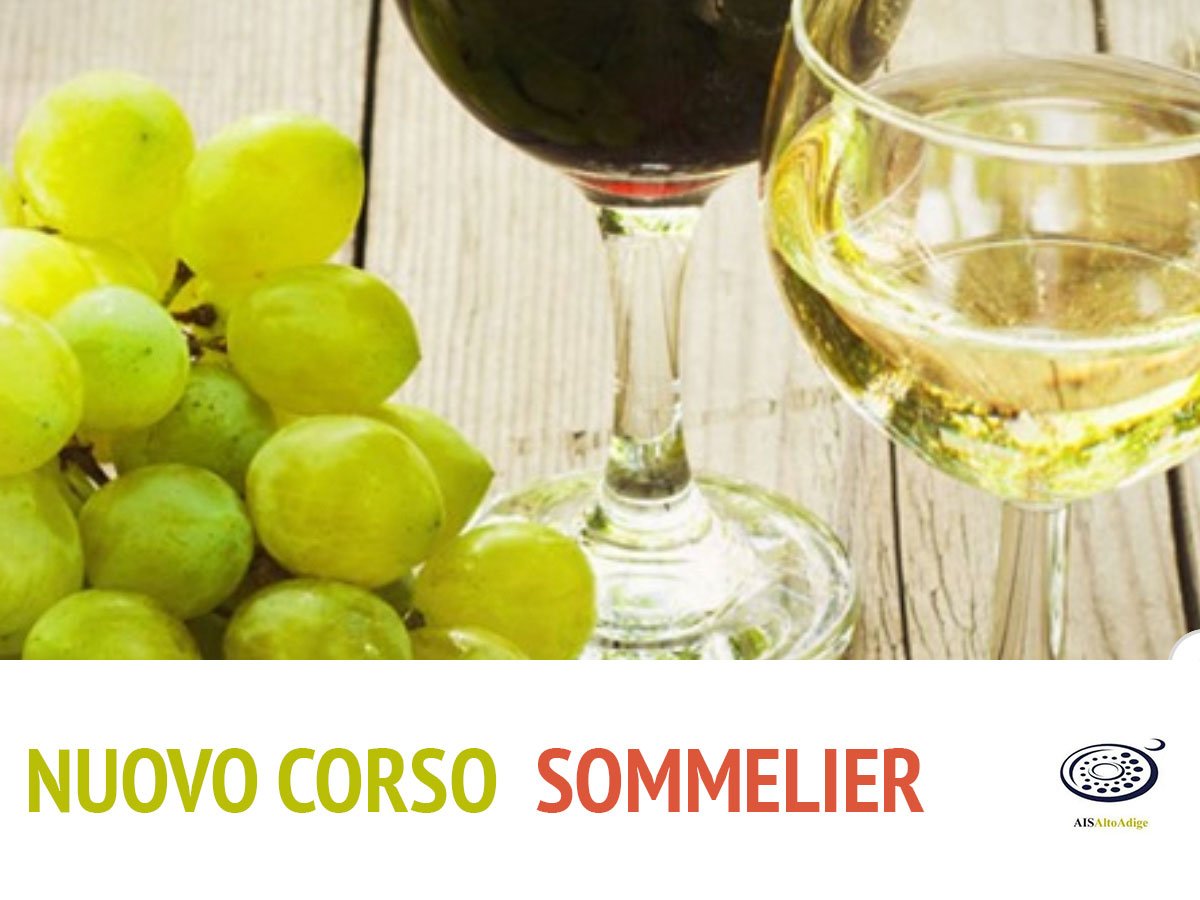 🍷 Pronti per iniziare un nuovo corso di Sommelier? 🍷

A partire dal mese di ottobre, a Bolzano avrà inizio un nuovo corso per Sommelier. Le lezioni si svolgeranno ogni settimana, dalle ore 19:30, presso Hotel Luna.