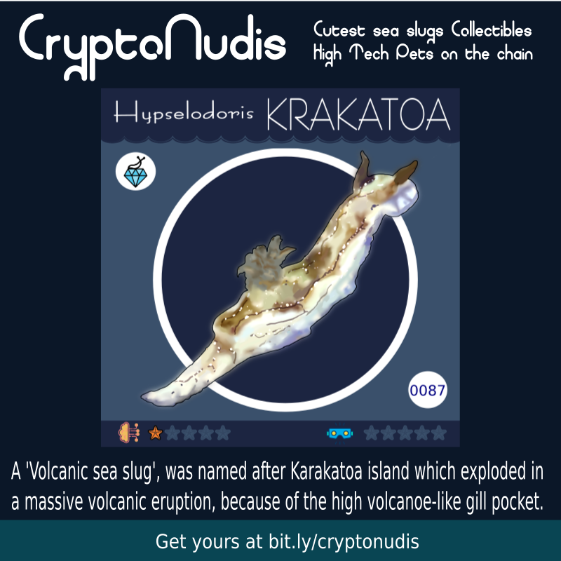 A 'Volcanic sea slug', was named after Karakatoa island which exploded in a massive volcanic eruption, because of the high volcanoe-like gill pocket. 
check it out at 
opensea.io/assets/0x48718…