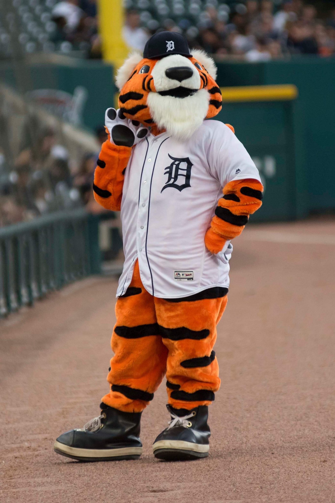 Detroit Tigers on X: Happy #NationalMascotDay to the best mascot around:  @PAWSDetroit!  / X