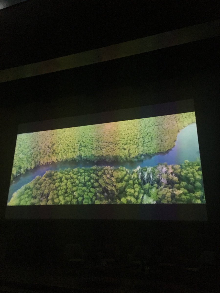 InstitutFrance's tweet photo. « C est une volonté politique de la France de porter haut l’engagement de la biodiversité notamment au prochain G7 de Biarritz »   Ghousebasha Gaffar, chef du pôle Biodiversité et Écosystèmes @francediplo avant la
📽️Projection de #Call4Nature (@WWF_Climat)
https://t.co/NJek1SWYep https://t.co/eJgoZU3NvV