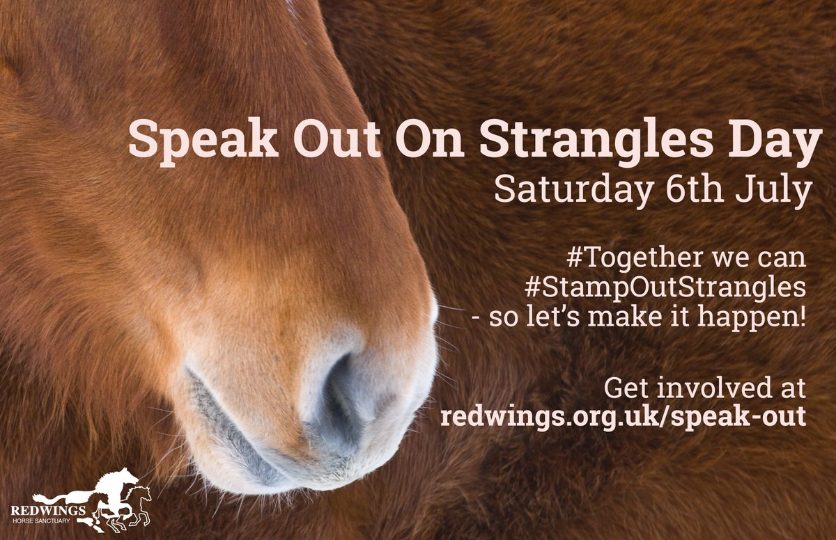RedwingsAndie's tweet image. 👂Have you heard? 
📢On the 6th July #LiveryYard Managers are joining with us to #SpeakOut 
🐴As part of our #StampOutStrangles Campaign to tackle stigma and motivate better biosecurity 🌡️💦
Please share, support and find out more... redwings.org.uk/speak-out