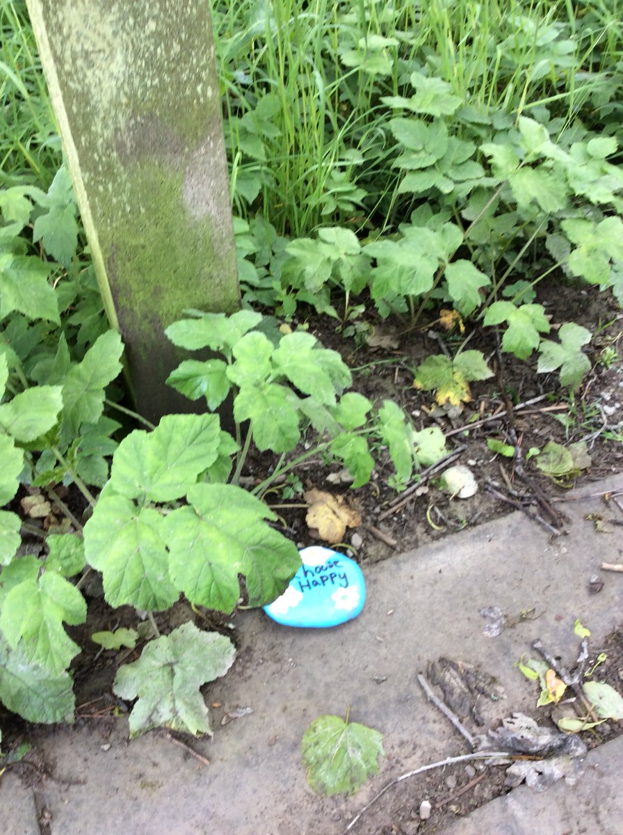 BpsSeek's tweet photo. “Choose happy” looking to be found #kindness rocks at Banff primary school https://t.co/n4Spa48jtS