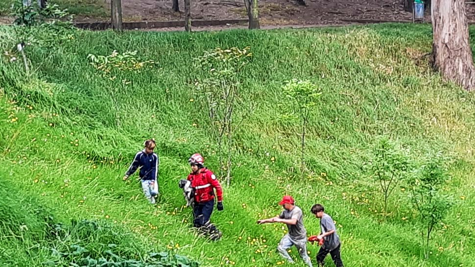 ¡Toda vida es importante! Esta mañana, rescatamos a un travieso amiguito peludo, que había quedado atrapado en el fondo de una quebrada, en el sector de El Recreo. Ahora está sano y salvo, junto con su familia. #EmergenciaCBDMQ 🚨🐶🚒