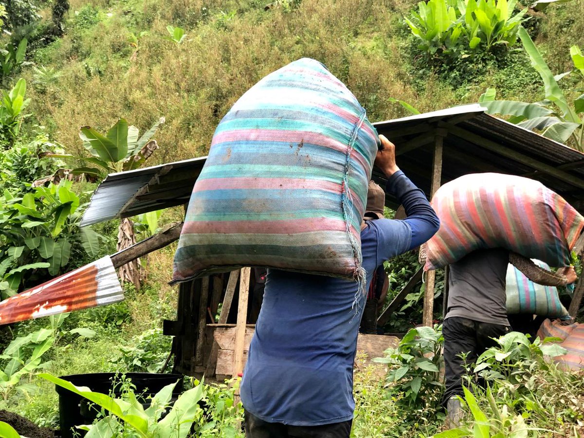 Colombia+20 på Twitter: "#EnHilo En la zona de cordillera de Nariño sus habitantes se quedaron esperando la paz. Mientras la mayoría de los campesinos sigue viviendo por completo de la coca, la