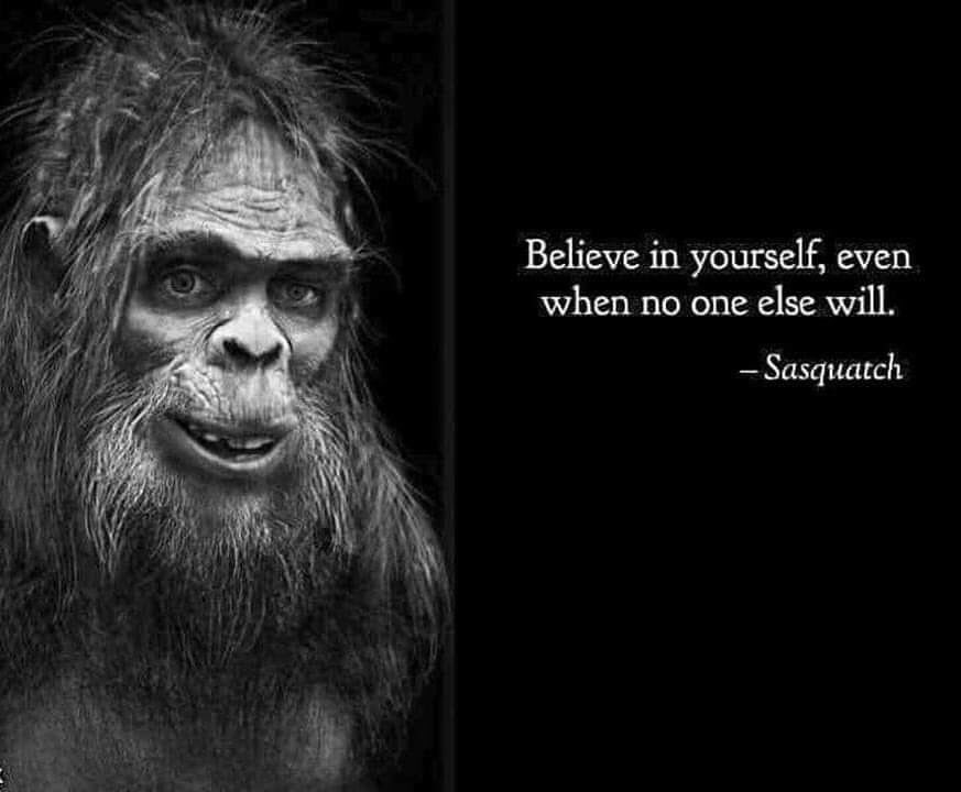 For you to believe in yourself (or anything) you have to first have a good story. If that #story is #authentic,  things become easier - even if you are a #Sasquatch! 😉💪🏽 .
#MetaphoraInternational #YourStoryMatters #WorkWithPurpose #CollaborativeStoryCraft #BelieveInYourself
