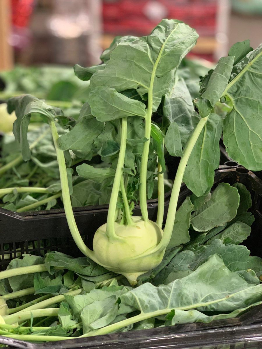 New season English #Kohlrabi available now!!