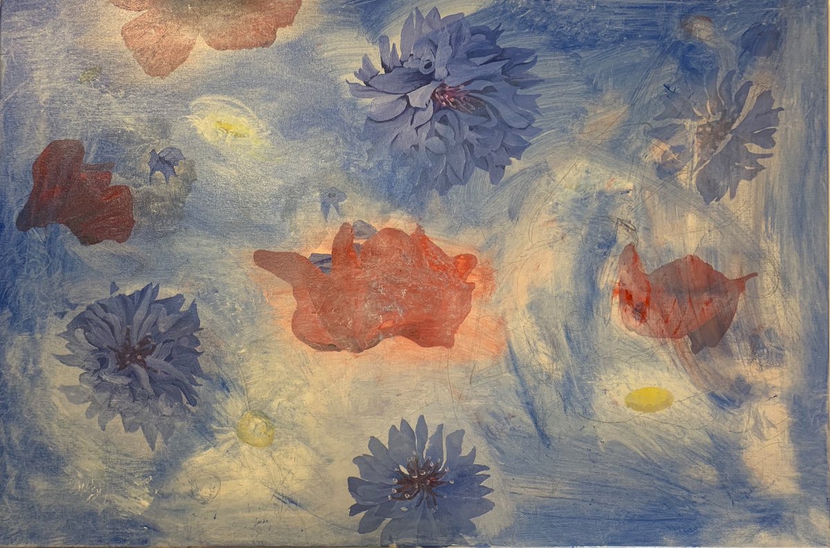 ‘I dreamt I saw Cornflowers’ 2019 #cornflowers #dreams #poppies #wildflowerhour #flowers
