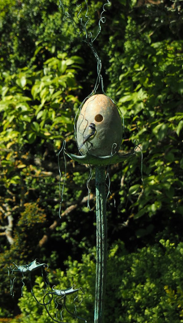 Adult Bluetit sits guarding its family which were nesting in my 'Back to the Egg' #sculpture at <a href="/seopenstudios/">South East Open Studios</a> #Benenden. Now sold, and with fledglings flown, this piece will be winging its way to a new garden in Kent! <a href="/FlicFlutter/">Felicity Flutter RI SGFA</a>