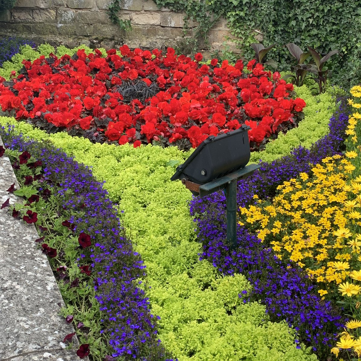Melton Bid (@meltonbid) on Twitter photo Walk down High Street & you’ll find yourself drawn to this amazing sea of red begonias in the Memorial Gardens. What an amazing display, well done <a href="/MMTownEstate/">T Ξ L S Λ_🛡</a> <a href="/BloomMelton/">MeltonInBloom</a> <a href="/meltontimes/">Melton Times</a> Stunning 🌹🌹#inbloom #nelton #ourtown <a href="/MeltonBC/">MeltonBoroughCouncil</a> Walk down High Street & you’ll find yourself drawn to this amazing sea of red begonias in the Memorial Gardens. What an amazing display, well done <a href="/MMTownEstate/">T Ξ L S Λ_🛡</a> <a href="/BloomMelton/">MeltonInBloom</a> <a href="/meltontimes/">Melton Times</a> Stunning 🌹🌹#inbloom #nelton #ourtown <a href="/MeltonBC/">MeltonBoroughCouncil</a>