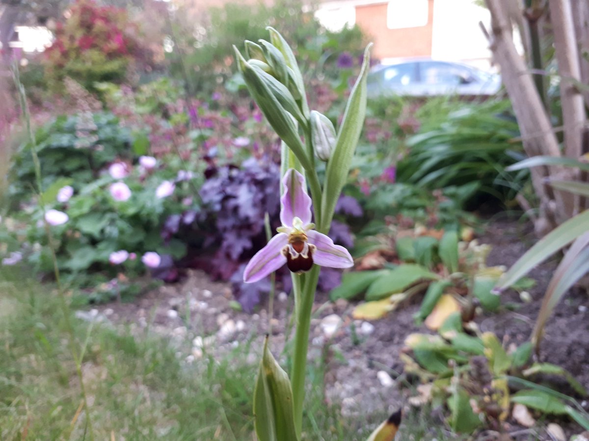 Terry Moran tweet media