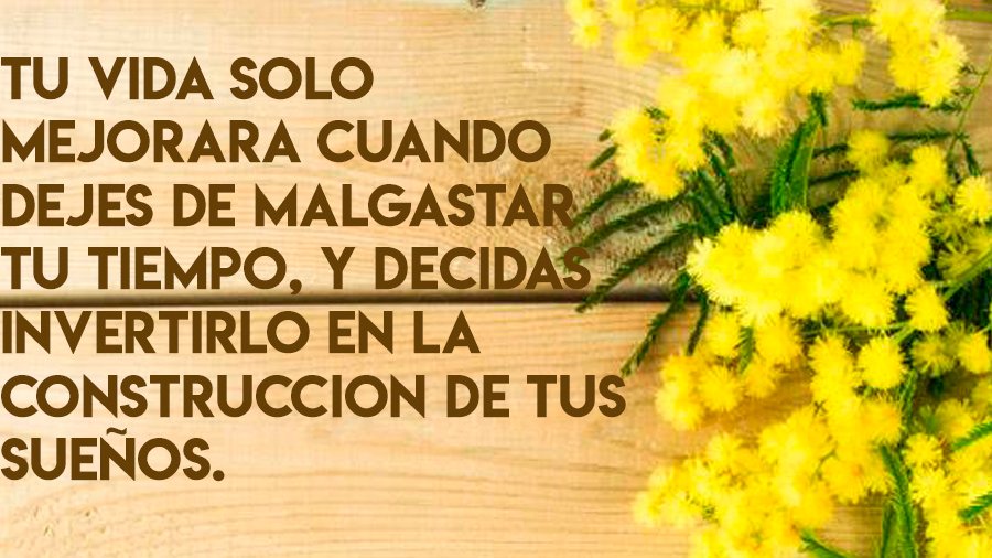 clinicaMFDFP's tweet photo. Tu vida solo mejorara cuando dejes de malgastar tu tiempo, y decidas invertirlo en la construcción de tus sueños.
Buen inicio de semana!!!
#ClinicaMFDFP #ConstruyeTusSueños #ValoraTuTiempo https://t.co/EdoA2NSr77