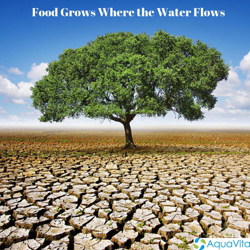 AquavitaLimited's tweet photo. Enhancing soils anywhere enhances life everywhere  https://t.co/CL9CpS3Cur  #WorldDaytoCombatDesertificationandDrought #WDCD2019 #WDCD2019Ke @tek_kenya @NemaKenya https://t.co/Ta0P4PKoL7
