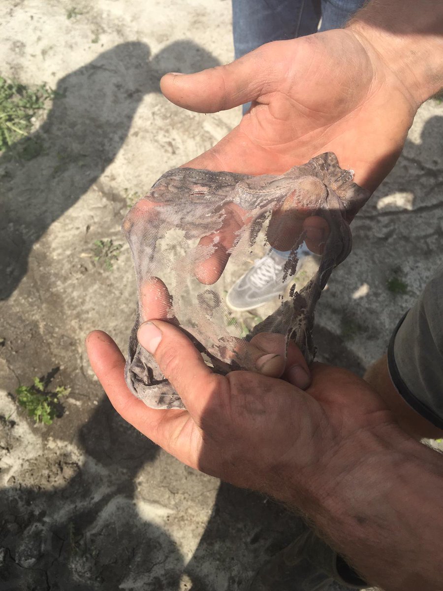 BoerTom kan achter een nieuw rompertje aan voor zijn 👶 Vandaag bij het opgraven (ism @ClusiusCollege) bleek er weinig van over. Een actief #bodemleven dus! Heb jij in april ook meegedaan? Graaf je onderbroek dan deze week op en deel je foto met #BesteGrond #SoilYourUndies2019NL