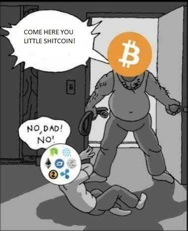 coinvana's tweet photo. Happy Father’s Day Bitcoin 😂
#latepost #fathersday #coinvana https://t.co/UyqmNZZnl1