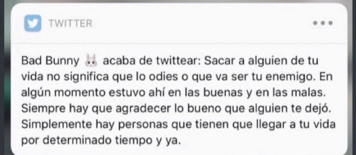 rebeca tweet media