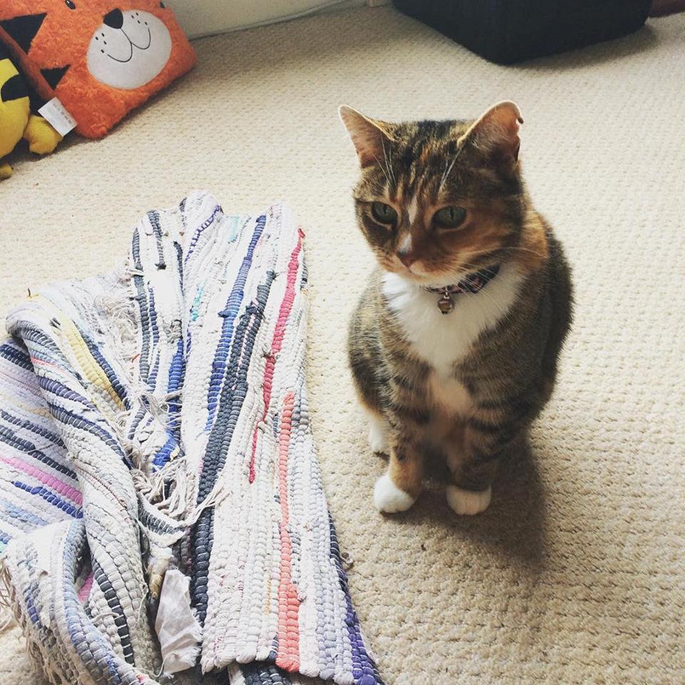CasparPie's tweet photo. Happy 15th birthday to my lil Squish aka Lish @LishSquitten  love this little minx! https://t.co/4uAxITcce2