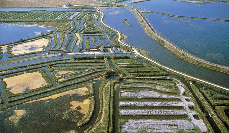 DELTA DEL PO -  Se a un #ciclista dite di pedalare in una zona esclusivamente pianeggiante probabilmente vi guarderà male. La pianura è per riposarsi tra una salita e l’altra. Poi ci sono le eccezioni, come il Delta del Po. #bicicletta #italy #travel  owl.li/f68330oW9OA