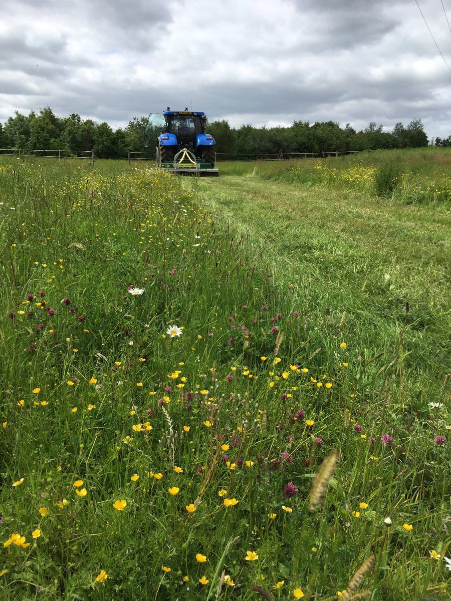 With just over a week to go the sustainability story <a href="/cookeryfoodfest/">Universal Cookery & Food Festival</a> starts as you enter the car park through our wildflowers #ucff2019 <a href="/LEAF_Farming/">LEAF</a>