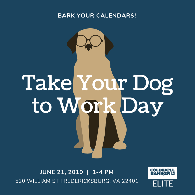 CBElite's tweet photo. 🐕Bark your calendars!🐶 This Friday is #TakeYourDogToWorkDay and we're celebrating by bringing a lucky pup from the SPCA of Fredericksburg to our Downtown Fredericksburg office for some work experience!🎉😍 Stop by from 1-4pm to meet our newest ... #homesfordogsproject #cberocks https://t.co/vJ3ACk3BWt