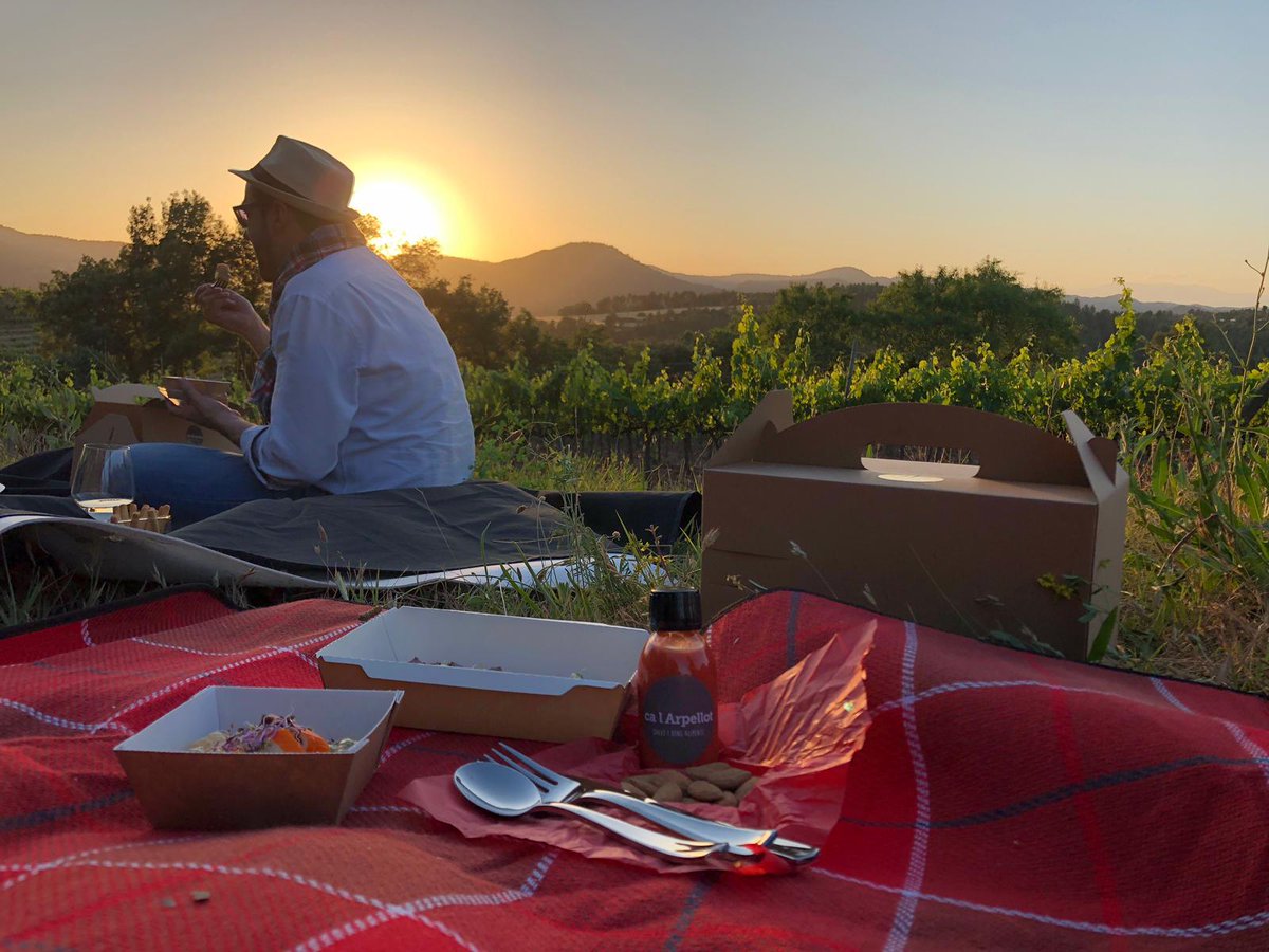 vinsabadal's tweet photo. Pura màgia entre vinyes... #picnicandwine #picnic #vi #wine #tast #vinya #paisatge #postadesol #sunset #enoturisme #momentmagic #abadal #enoturisme #bages #vinsdelbages #iloveabadal @dopladebages https://t.co/yDizCLL1Ic