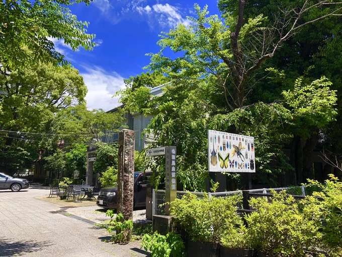 岐阜に行った際には名和昆虫博物館に是非行ってみて下さい。日本の現存する昆虫博物館としては最も古いそうです。撮影もOKなので興味のある方は是非。 