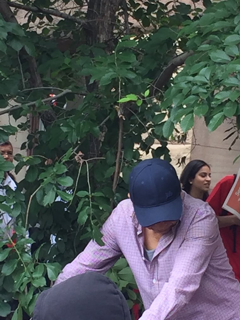 #Raptors #Champions #NathanPhilip  he broke the branch to watch the parade <a href="/TorontoPolice/">Toronto Police</a> <a href="/CityNews/">CityNews (Inactive)</a>  <a href="/CBCToronto/">CBC Toronto</a>