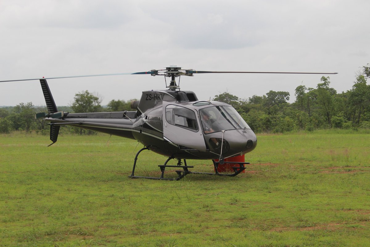 WCSNewsroom's tweet image. BREAKING: Incredible success in Mozambique: Zero cases of elephant poaching in the last year! Enforcement works! @USAIDMozambique @USFWS @UNDP @TheGEF @AFD_France @CITES @WildcatFndt @ElephantCrisis @dicapriofdn