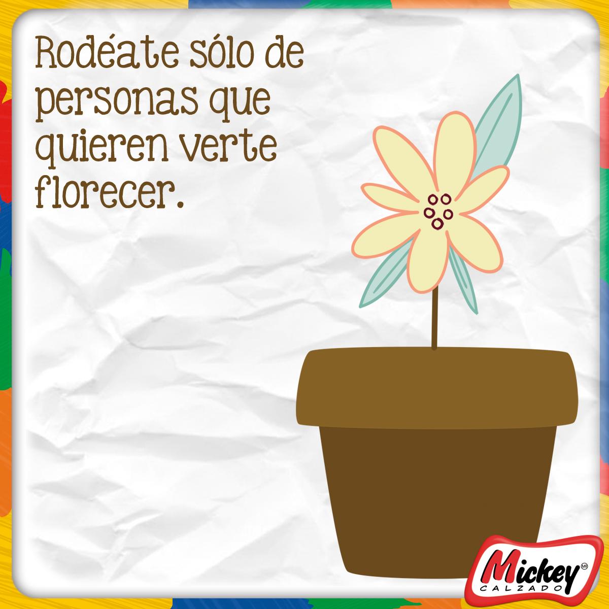 CalzadoMickey's tweet photo. Rodéate de personas que quieren verte florecer... 🌼
#FelizLunes https://t.co/bE79romRnz