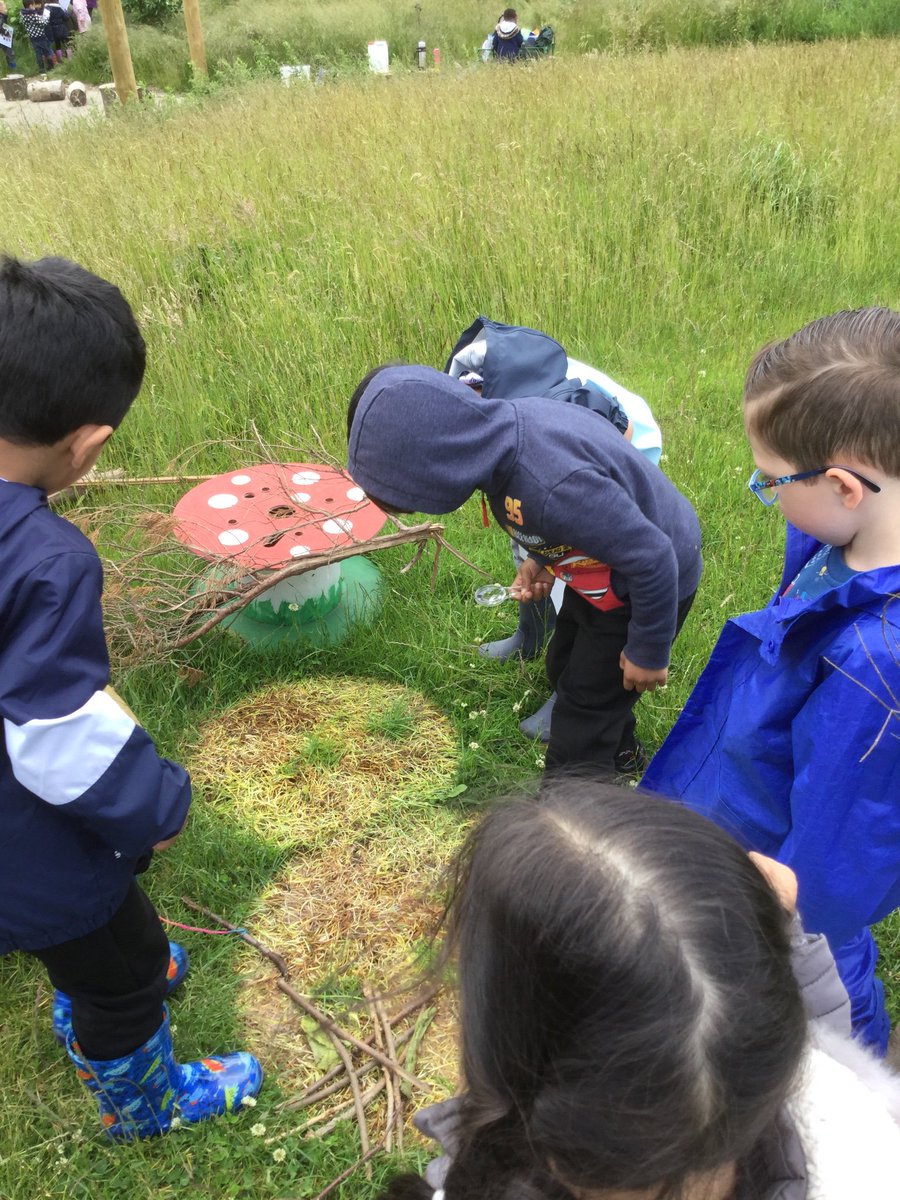 ForestScientia's tweet photo. Bug hunting was nursery’s challenge today! #forestschool #bughunt https://t.co/LxXZCI418U